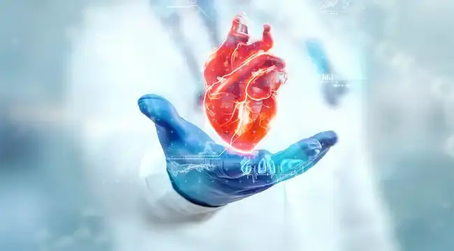 Cardiovascular Healthcare Services Near Palos Hills