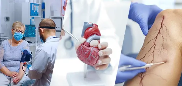 Palos Healthcare Center Expert Medical Services