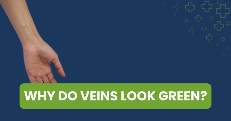 Why do Veins Look Green?